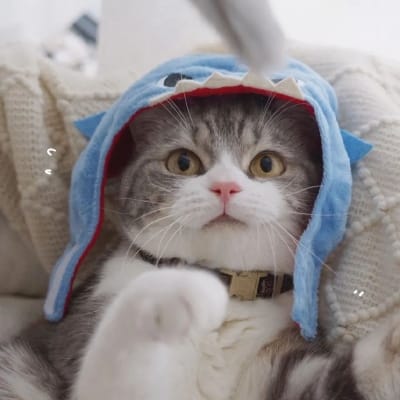 Siti Rahayu avatar